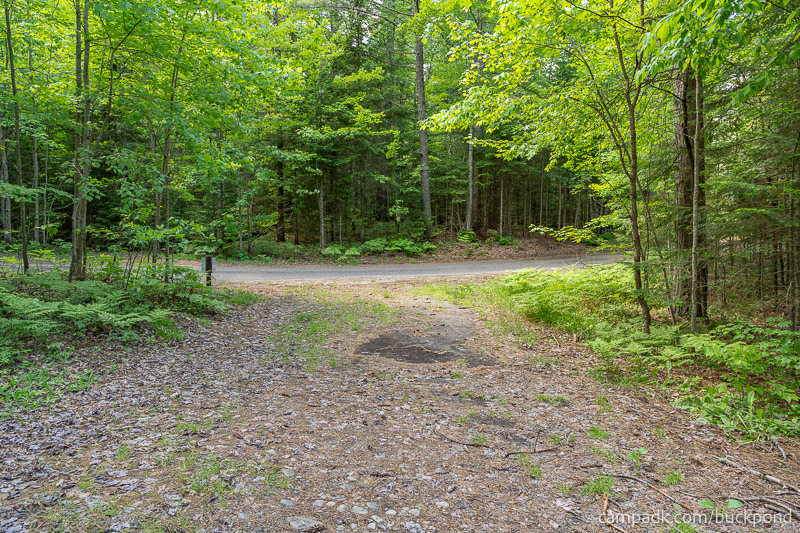 Campsite Photo of Site 7 at Buck Pond Campground, New York - Looking Back Towards Road