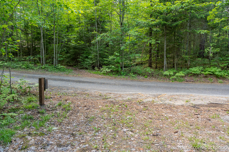 Campsite Photo of Site 7 at Buck Pond Campground, New York - Looking Back Towards Road