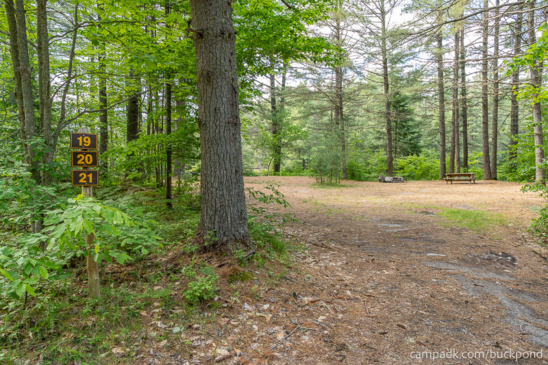 Campsite Photo of Site 19 at Buck Pond Campground, New York - Looking at Site from Road Sign Visible