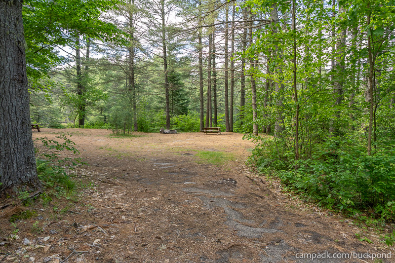 Campsite Photo of Site 19 at Buck Pond Campground, New York - Looking at Site from Road
