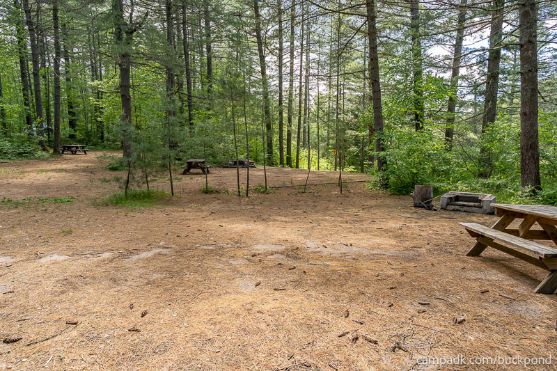 Campsite Photo of Site 19 at Buck Pond Campground, New York - Cross Site View