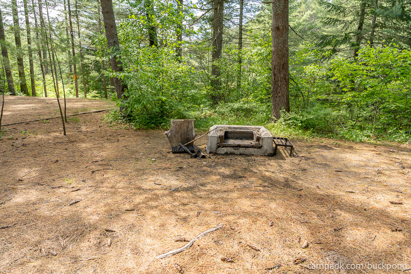 Campsite Photo of Site 19 at Buck Pond Campground, New York - Fireplace View