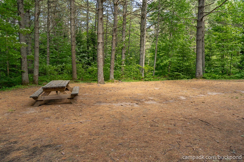 Campsite Photo of Site 19 at Buck Pond Campground, New York - Cross Site View