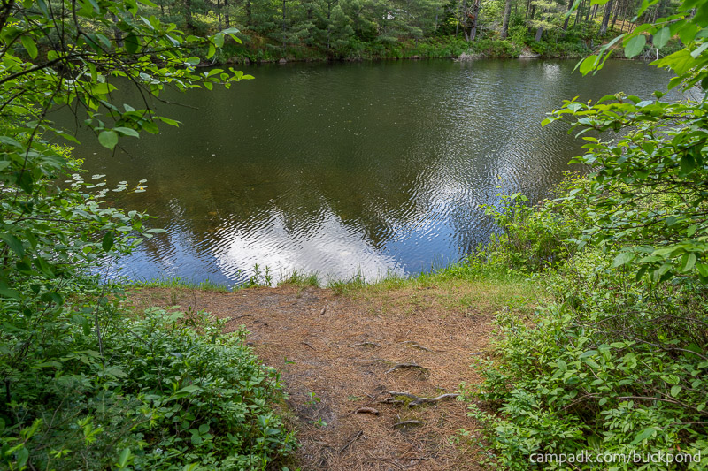 Campsite Photo of Site 19 at Buck Pond Campground, New York - Shoreline