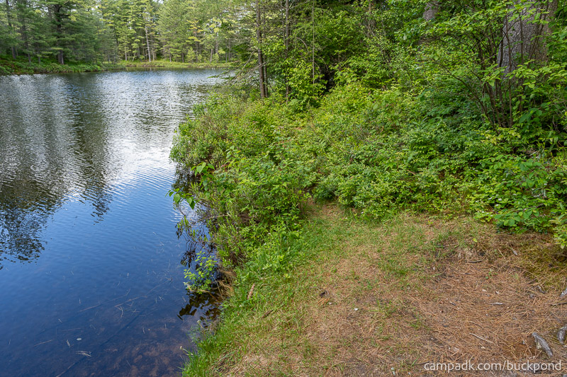 Campsite Photo of Site 19 at Buck Pond Campground, New York - Shoreline