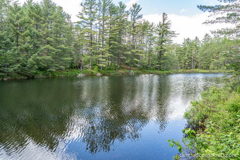 Campsite Photo of Site 19 at Buck Pond Campground, New York - View from Shoreline