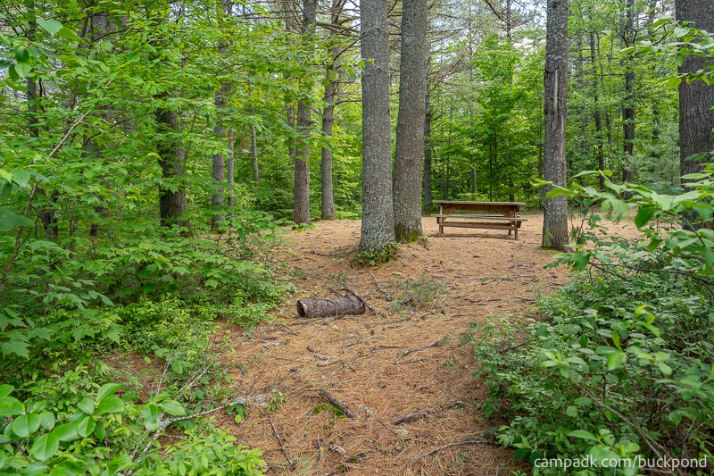Campsite Photo of Site 19 at Buck Pond Campground, New York - Returning Along Pathway from Water