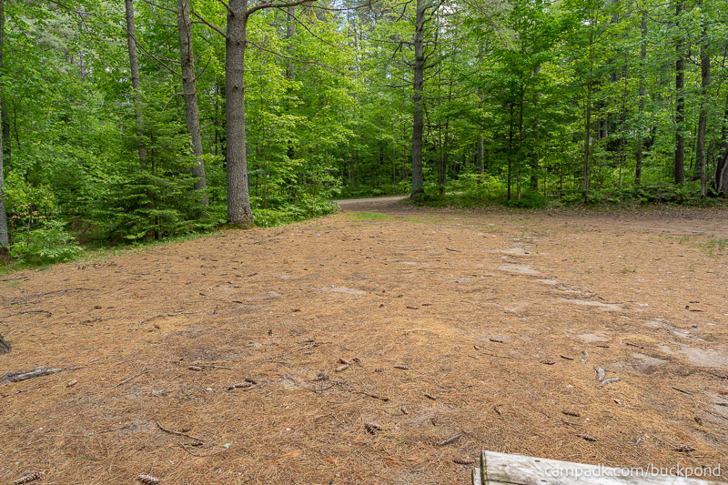 Campsite Photo of Site 19 at Buck Pond Campground, New York - Looking Back Towards Road