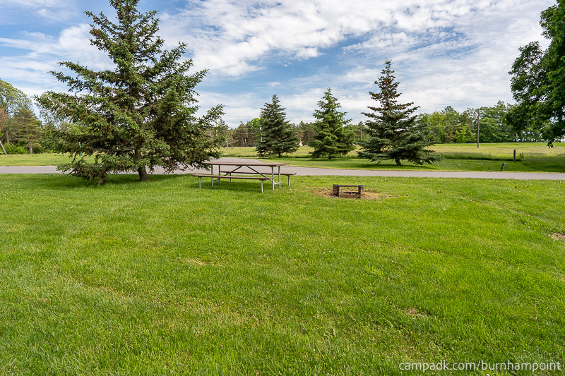 Campsite Photo of Site 8 at Burnham Point State Park, New York - Looking Back Towards Road