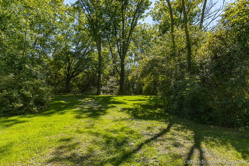 Campsite Photo of Site 712 at Cayuga Lake State Park, New York - Looking at Site from Road