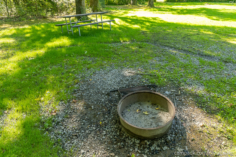 Campsite Photo of Site 712 at Cayuga Lake State Park, New York - Fireplace View