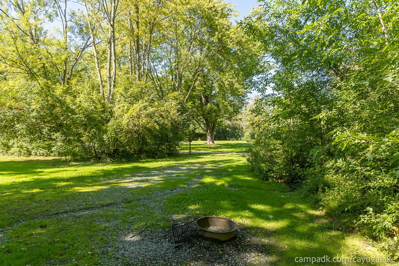 Campsite Photo of Site 712 at Cayuga Lake State Park, New York - Looking Back Towards Road
