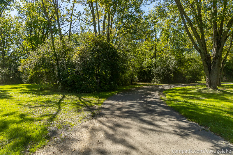Campsite Photo of Site 712 at Cayuga Lake State Park, New York - View Down Road from Campsite