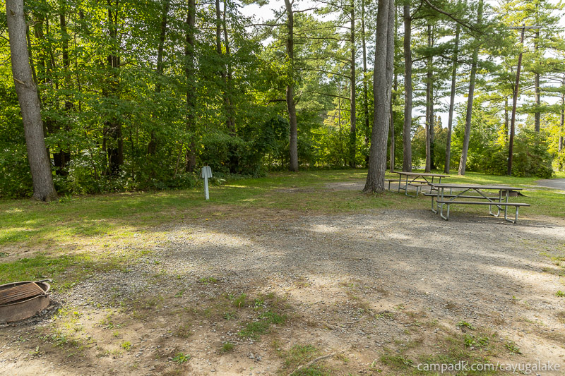 Campsite Photo of Site 12 at Cayuga Lake State Park, New York - Cross Site View