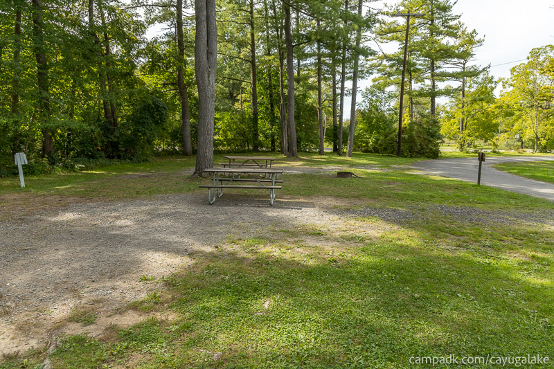 Campsite Photo of Site 12 at Cayuga Lake State Park, New York - Cross Site View