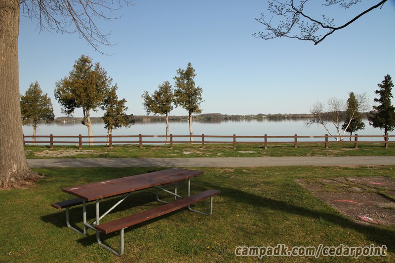 Campsite Photo of Site 10 at Cedar Point State Park, New York - Looking Back Towards Road