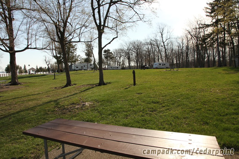 Campsite Photo of Site 4 at Cedar Point State Park, New York - Looking Back Towards Road