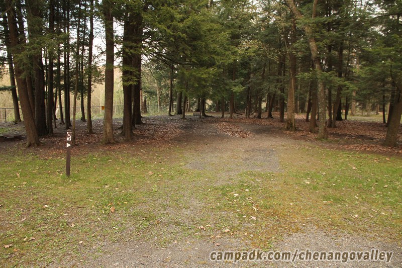 Campsite Photo of Site 163 at Chenango Valley State Park, New York - Looking at Site from Road Sign Visible