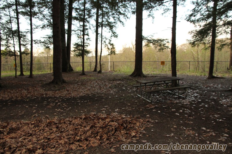 Campsite Photo of Site 163 at Chenango Valley State Park, New York - Cross Site View