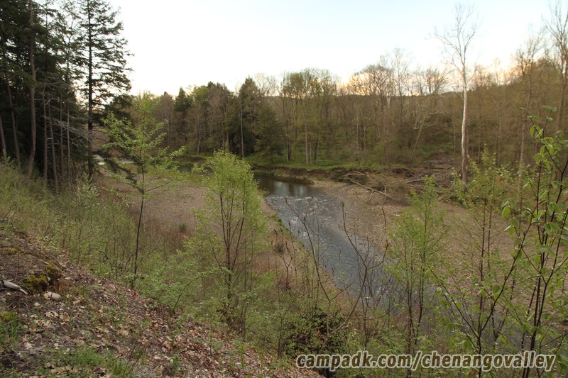 Campsite Photo of Site 163 at Chenango Valley State Park, New York - Cross Site View