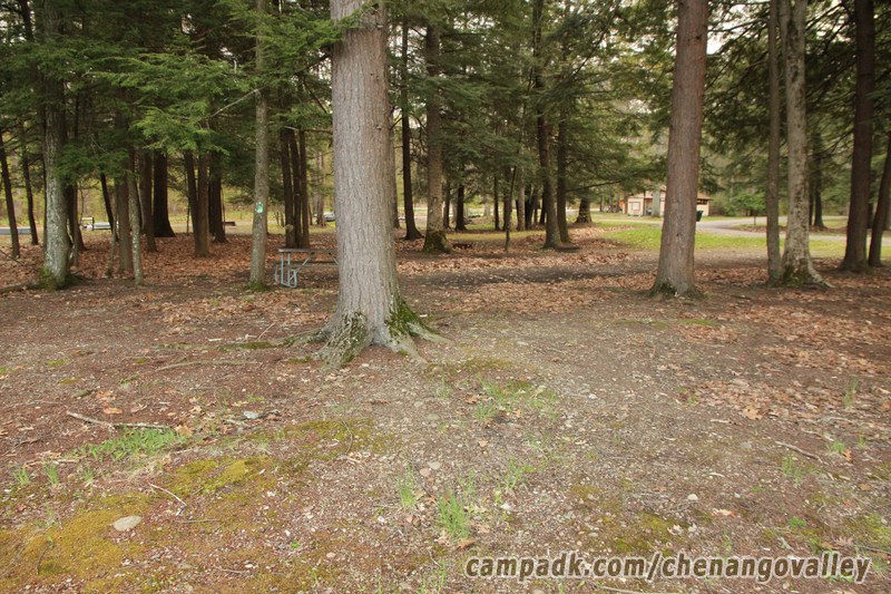 Campsite Photo of Site 163 at Chenango Valley State Park, New York - Cross Site View