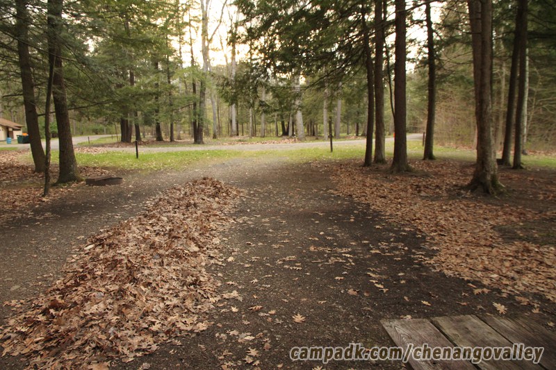 Campsite Photo of Site 163 at Chenango Valley State Park, New York - Looking Back Towards Road
