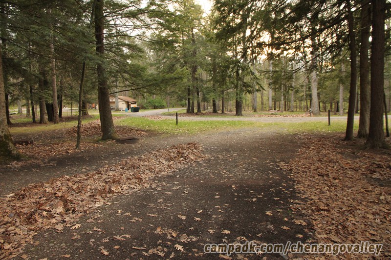 Campsite Photo of Site 163 at Chenango Valley State Park, New York - Looking Back Towards Road