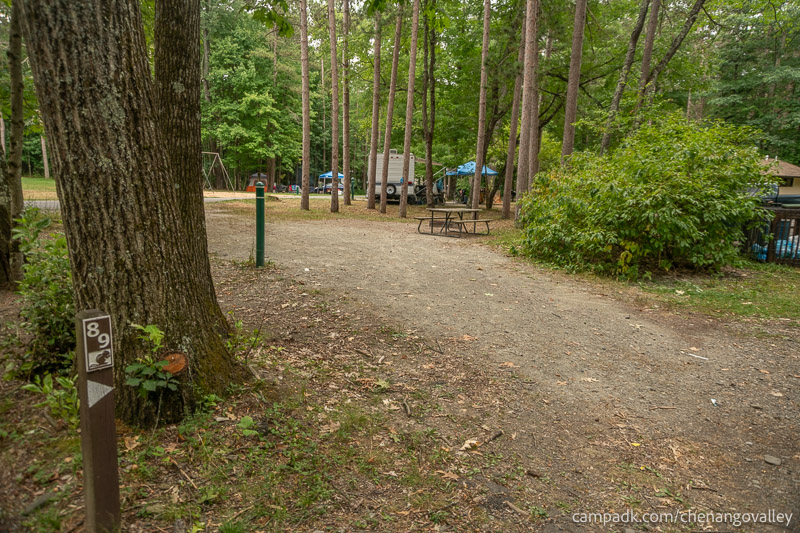 Campsite Photo of Site 89 at Chenango Valley State Park, New York - Looking at Site from Road Sign Visible