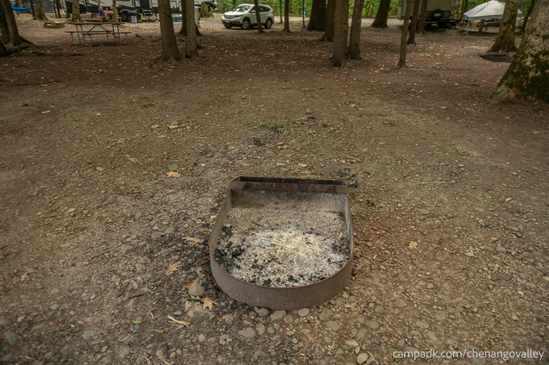 Campsite Photo of Site 163 at Chenango Valley State Park, New York - Fireplace View