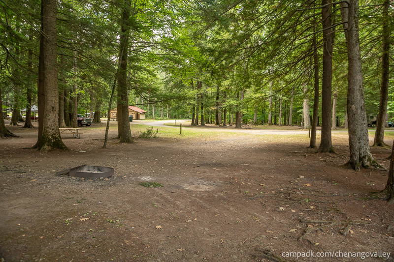 Campsite Photo of Site 163 at Chenango Valley State Park, New York - Looking Back Towards Road