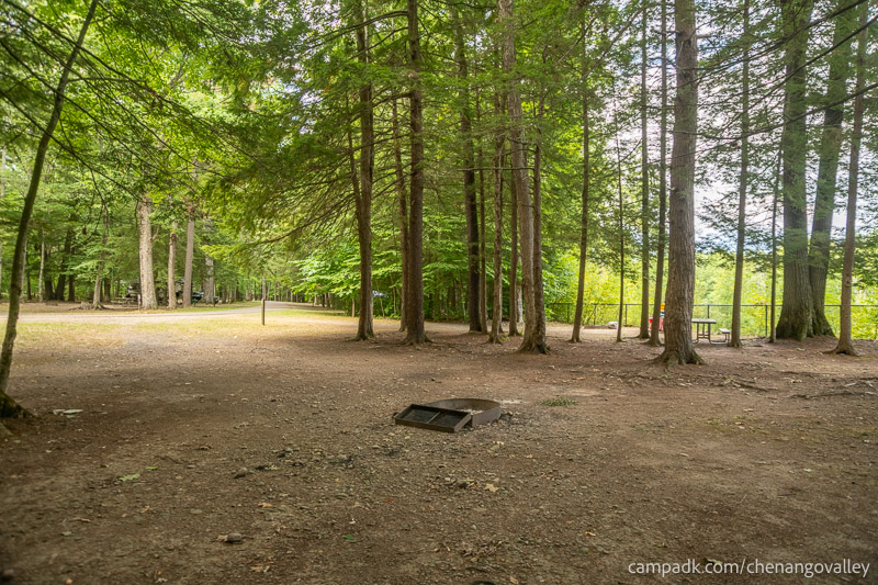 Campsite Photo of Site 163 at Chenango Valley State Park, New York - Looking Back Towards Road