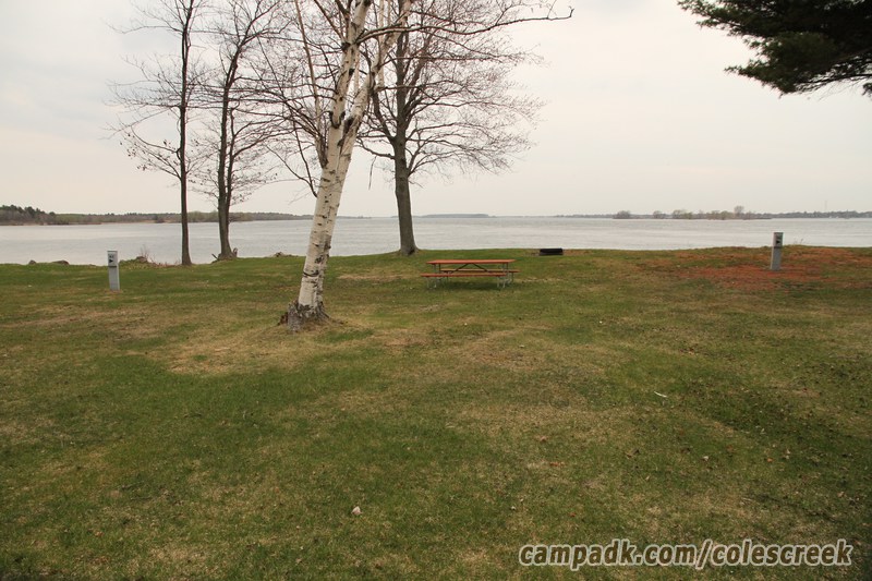 Campsite Photo of Site 83 at Coles Creek State Park, New York - Looking at Site from Road