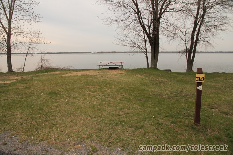 Campsite Photo of Site 203 at Coles Creek State Park, New York - Looking at Site from Road Sign Visible