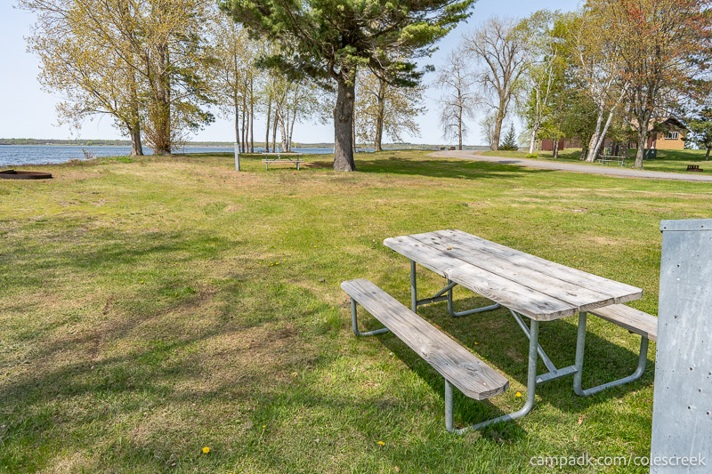 Campsite Photo of Site 83 at Coles Creek State Park, New York - Cross Site View