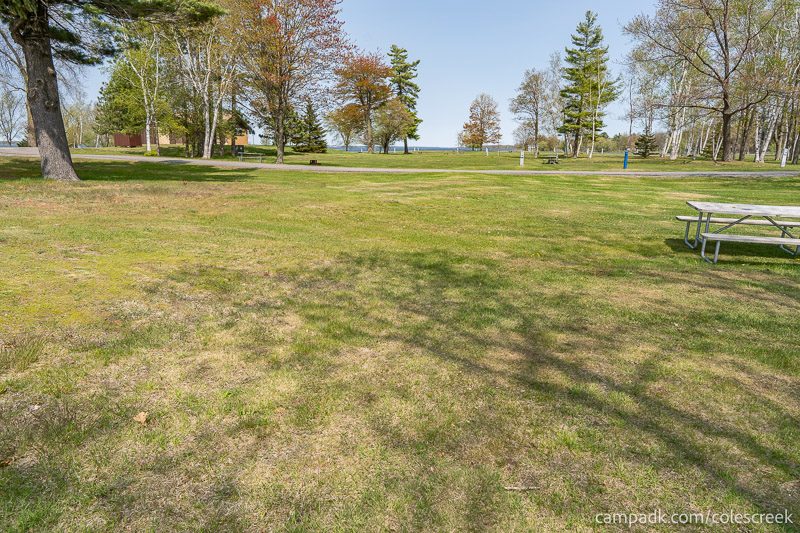 Campsite Photo of Site 83 at Coles Creek State Park, New York - Looking Back Towards Road
