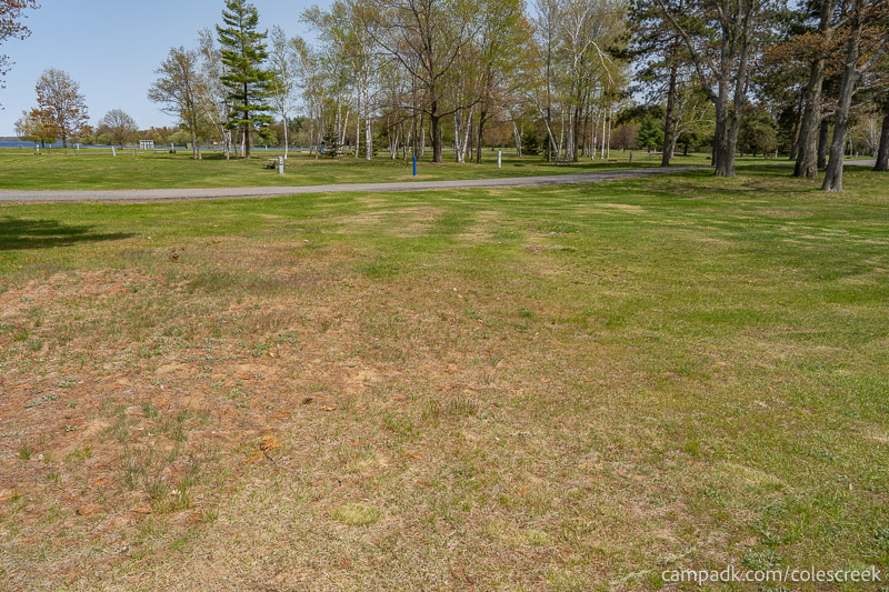 Campsite Photo of Site 83 at Coles Creek State Park, New York - Looking Back Towards Road