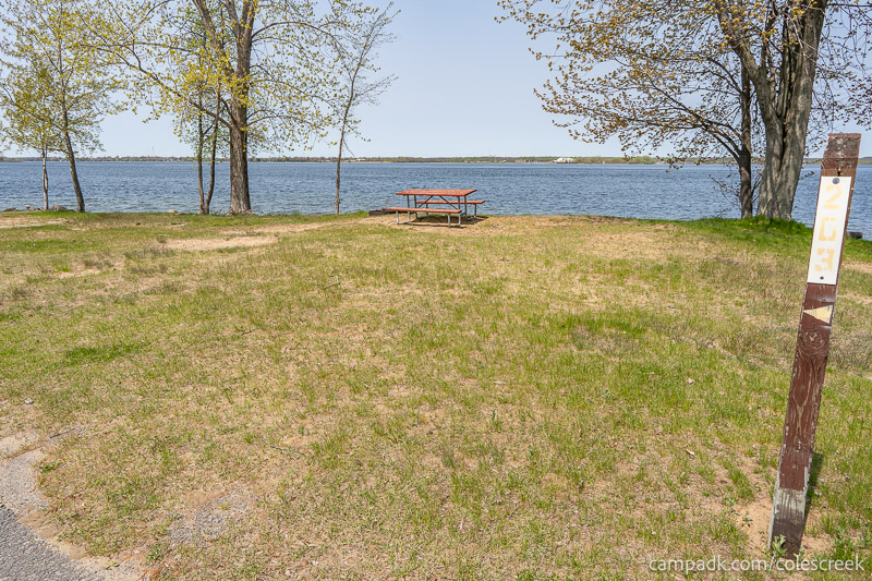 Campsite Photo of Site 203 at Coles Creek State Park, New York - Looking at Site from Road Sign Visible