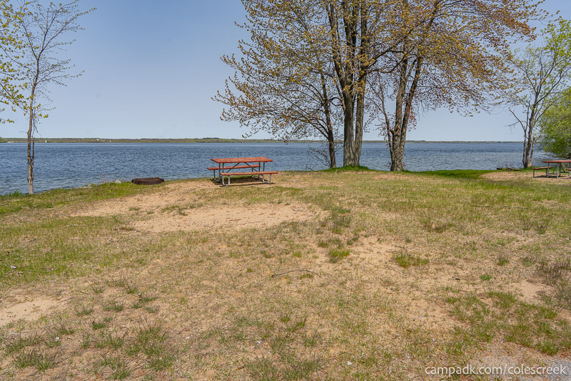 Campsite Photo of Site 203 at Coles Creek State Park, New York - Looking at Site from Road