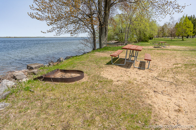 Campsite Photo of Site 203 at Coles Creek State Park, New York - Cross Site View
