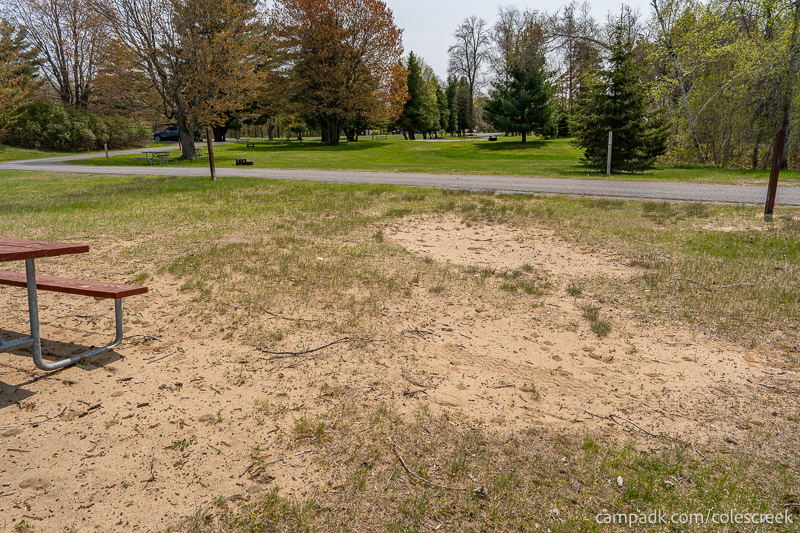 Campsite Photo of Site 203 at Coles Creek State Park, New York - Looking Back Towards Road