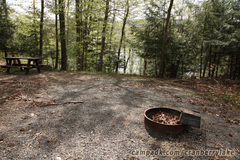 Campsite Photo of Site 14 at Cranberry Lake Campground, New York - Cross Site View
