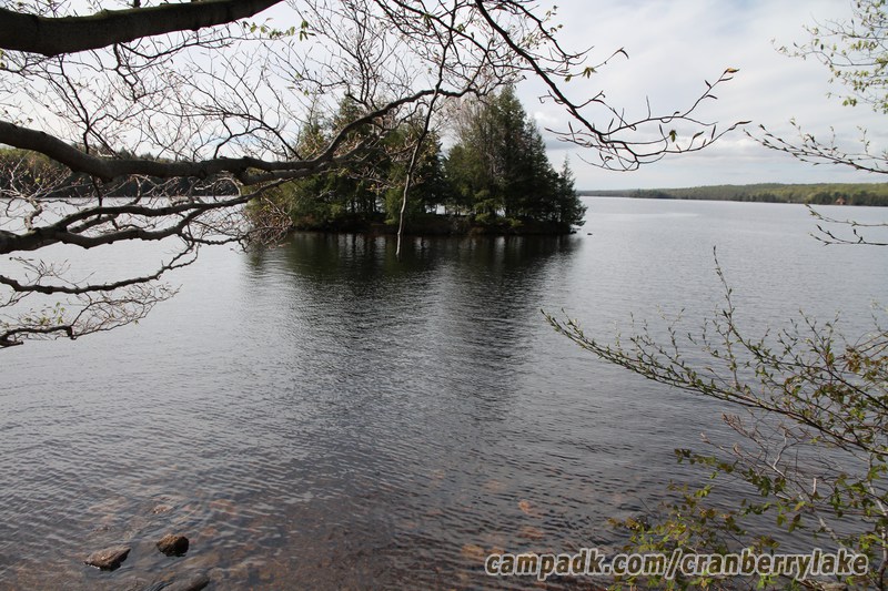 Campsite Photo of Site 14 at Cranberry Lake Campground, New York - View from Shoreline