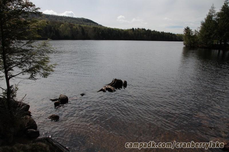 Campsite Photo of Site 14 at Cranberry Lake Campground, New York - View from Shoreline