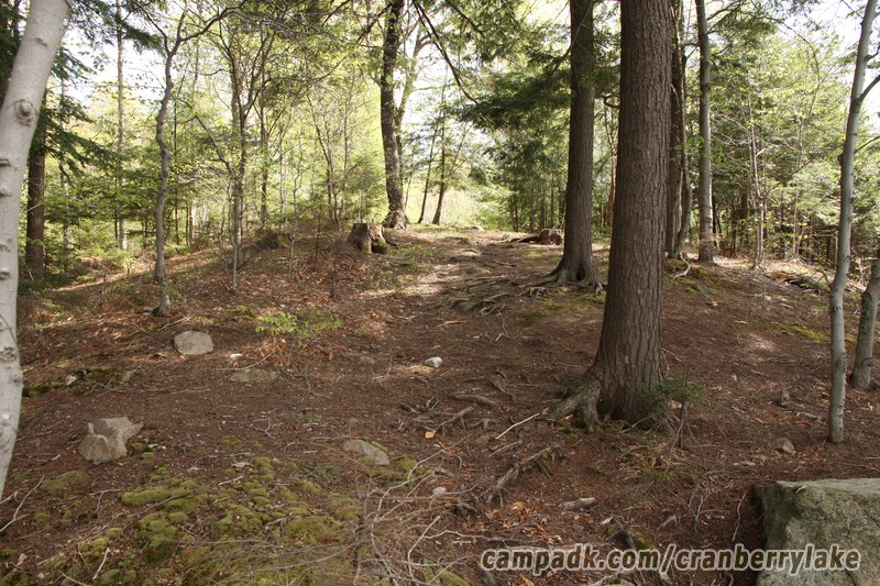Campsite Photo of Site 14 at Cranberry Lake Campground, New York - Returning Along Pathway from Water