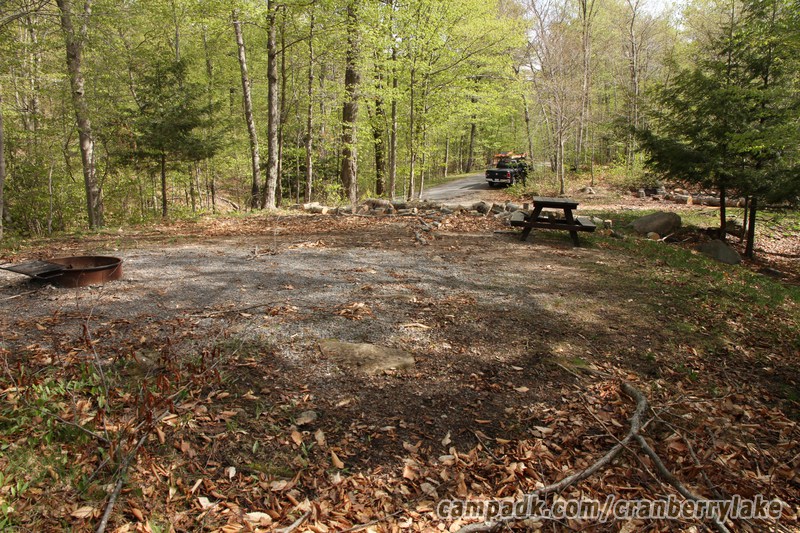 Campsite Photo of Site 14 at Cranberry Lake Campground, New York - Looking Back Towards Road