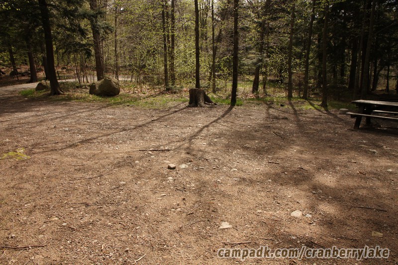 Campsite Photo of Site 45 at Cranberry Lake Campground, New York - Cross Site View