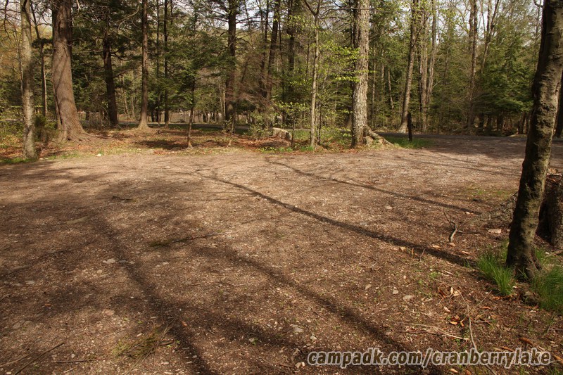 Campsite Photo of Site 45 at Cranberry Lake Campground, New York - Cross Site View