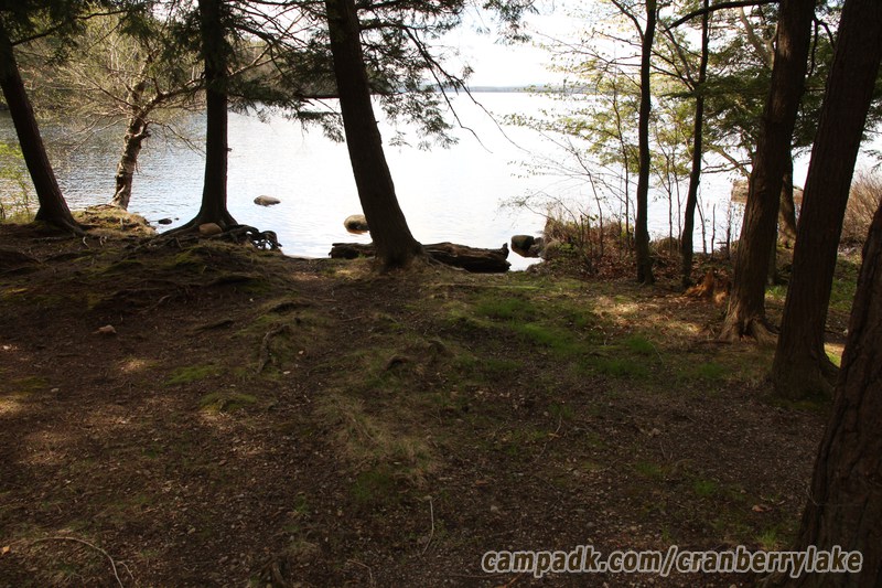 Campsite Photo of Site 45 at Cranberry Lake Campground, New York - Pathway Down to Water