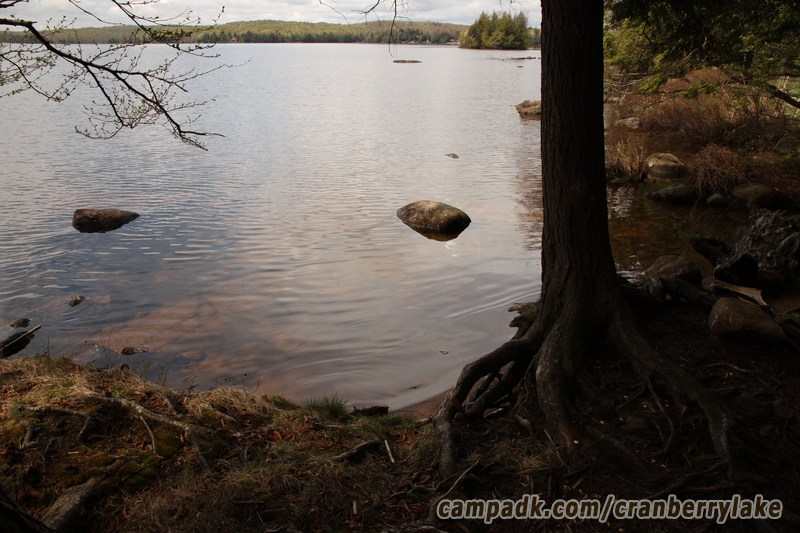Campsite Photo of Site 45 at Cranberry Lake Campground, New York - Shoreline
