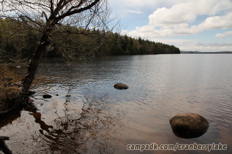 Campsite Photo of Site 45 at Cranberry Lake Campground, New York - View from Shoreline
